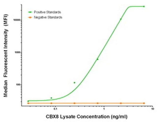 CBX8 Antibody in Luminex (Luminex)