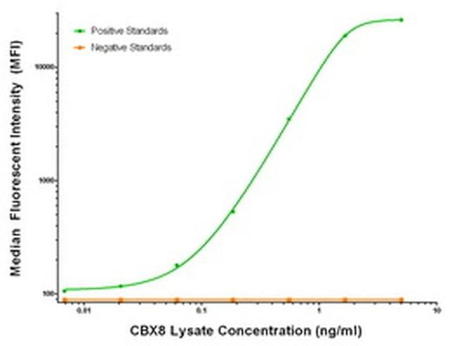 CBX8 Antibody in Luminex (Luminex)