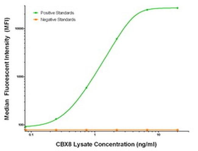 CBX8 Antibody in Luminex (Luminex)