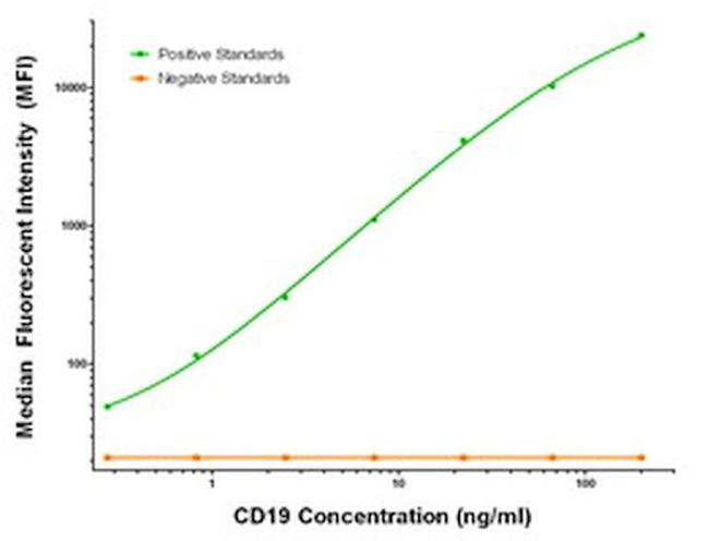 CD19 Antibody in Luminex (LUM)