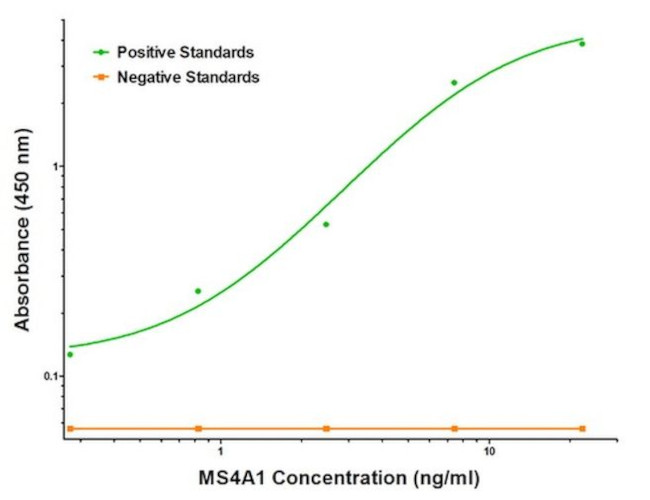 CD20 (MS4A1) Antibody in ELISA (ELISA)
