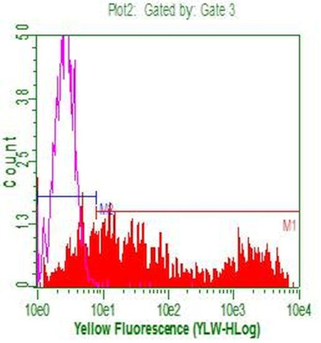 CD20 (MS4A1) Antibody in Flow Cytometry (Flow)