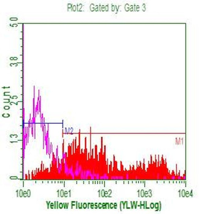 CD20 (MS4A1) Antibody in Flow Cytometry (Flow)