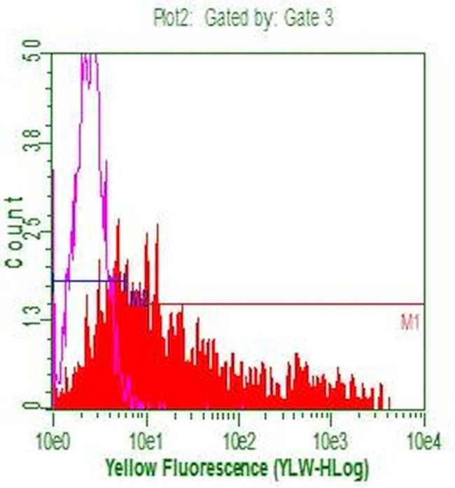 CD20 (MS4A1) Antibody in Flow Cytometry (Flow)