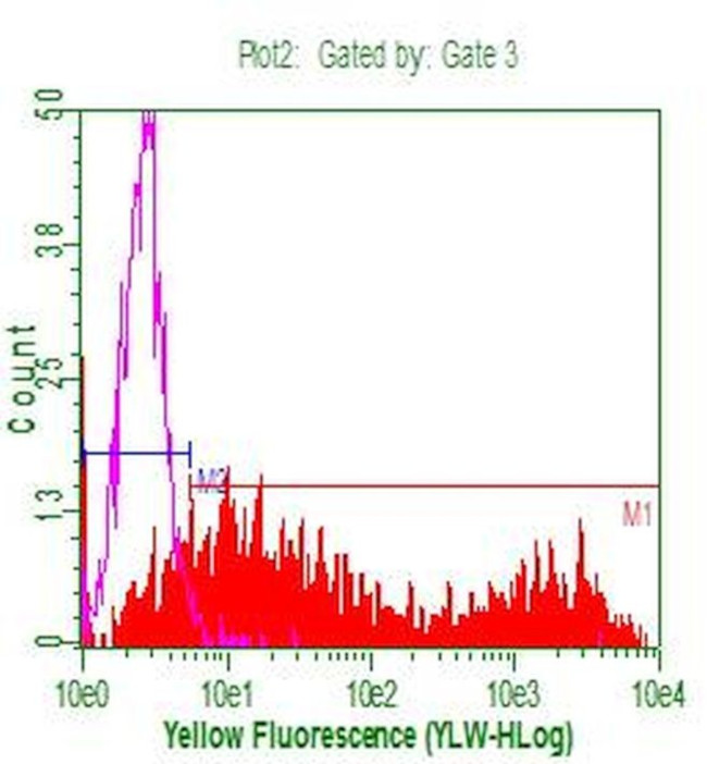 CD20 (MS4A1) Antibody in Flow Cytometry (Flow)