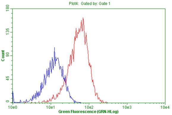 CD34 Antibody in Flow Cytometry (Flow)