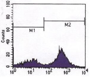 CD3 Antibody in Flow Cytometry (Flow)