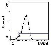 CD48 Antibody in Flow Cytometry (Flow)