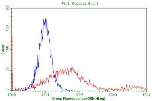 CD5 Antibody in Flow Cytometry (Flow)