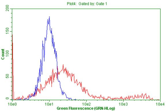 CD5 Antibody in Flow Cytometry (Flow)