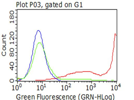 CD5 Antibody in Flow Cytometry (Flow)