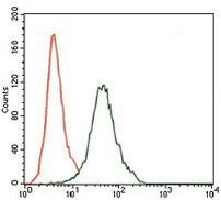 CD5 Antibody in Flow Cytometry (Flow)