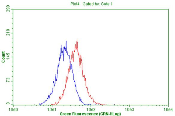 CD63 Antibody in Flow Cytometry (Flow)