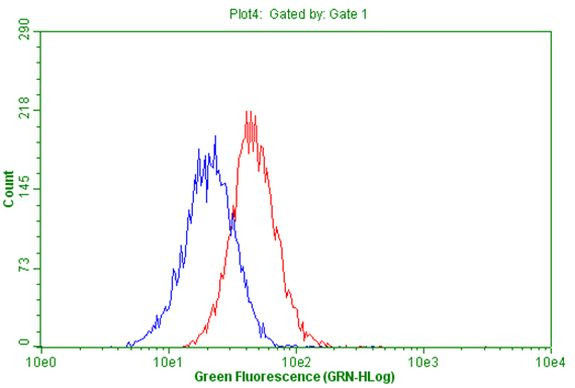 CD63 Antibody in Flow Cytometry (Flow)