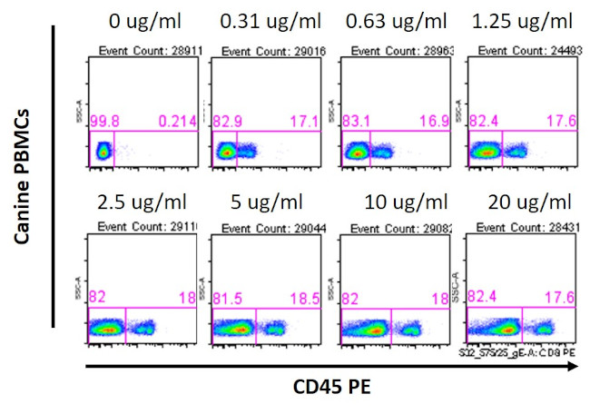 CD8 Antibody in Flow Cytometry (Flow)