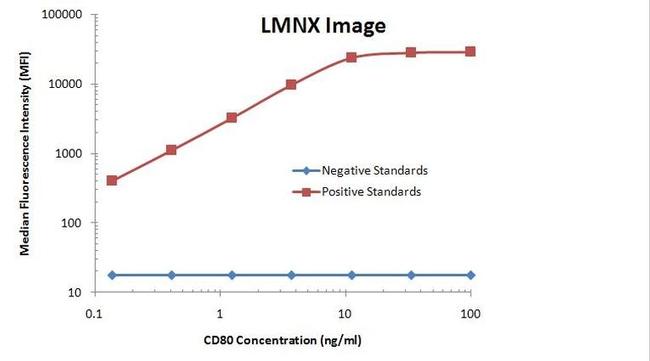 CD80 Antibody in Luminex (LUM)