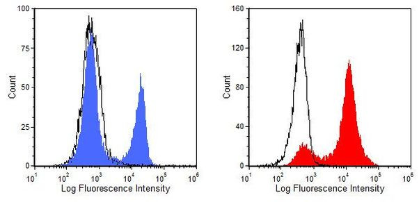CD8 alpha Antibody in Flow Cytometry (Flow)