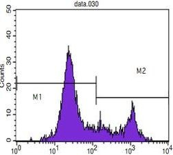 CD8 alpha Antibody in Flow Cytometry (Flow)