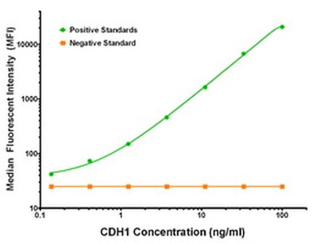 CDH1 Antibody in Luminex (LUM)