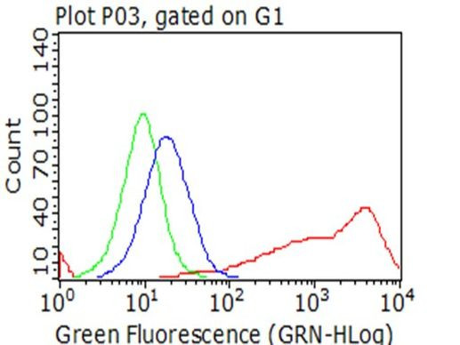 p75 NGF Receptor (NGFR) Antibody in Flow Cytometry (Flow)