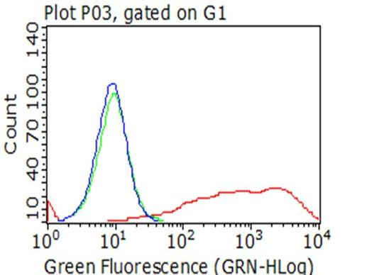 p75 NGF Receptor (NGFR) Antibody in Flow Cytometry (Flow)