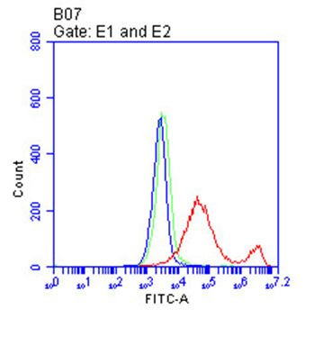 CD38 Antibody in Flow Cytometry (Flow)
