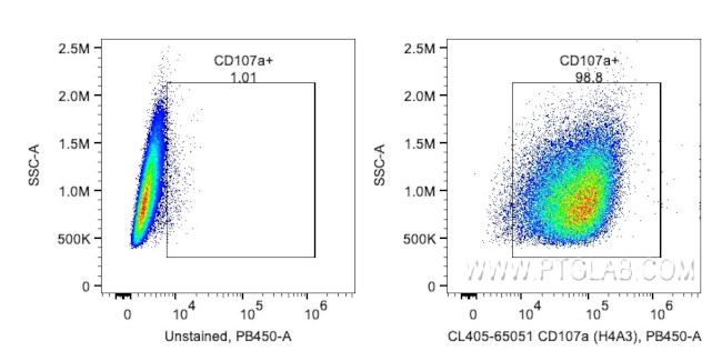 CD107a/LAMP1 Antibody in Flow Cytometry (Flow)