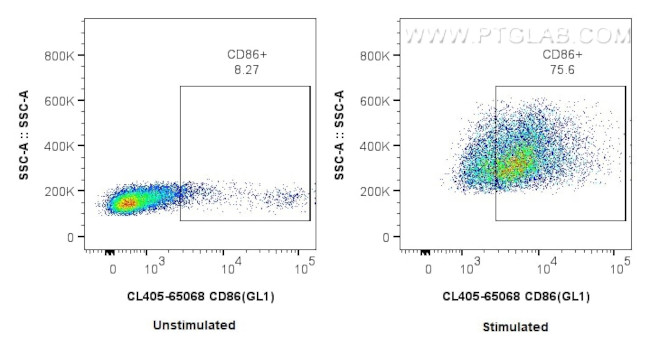 CD86 Antibody in Flow Cytometry (Flow)