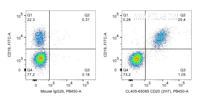 CD20 Antibody in Flow Cytometry (Flow)