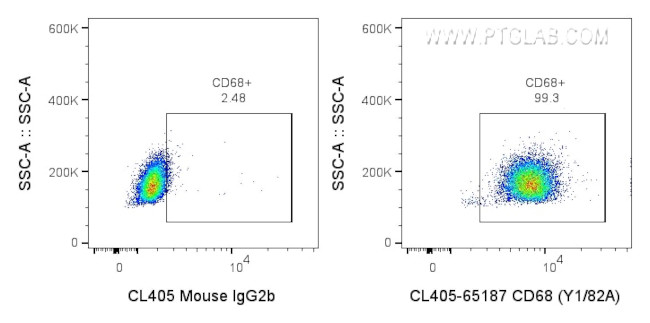 CD68 Antibody in Flow Cytometry (Flow)