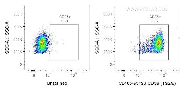 CD58 Antibody in Flow Cytometry (Flow)