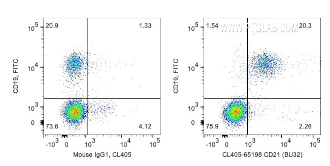 CD21 Antibody in Flow Cytometry (Flow)