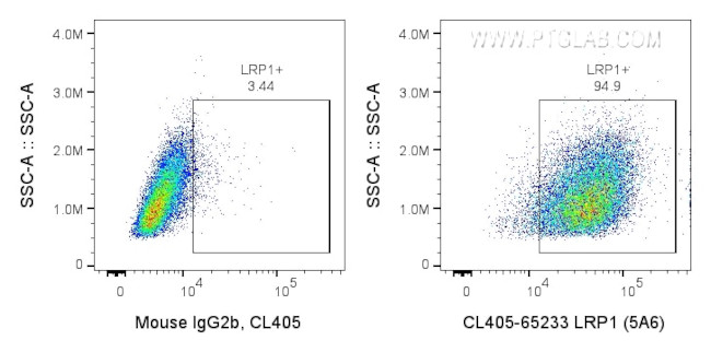 LRP1 Antibody in Flow Cytometry (Flow)