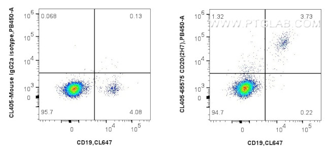 CD20 Antibody in Flow Cytometry (Flow)