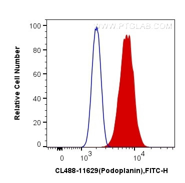 Podoplanin Antibody in Flow Cytometry (Flow)