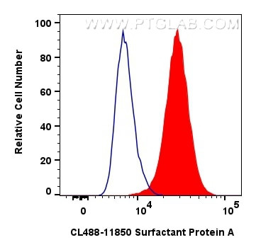 Surfactant Protein A Antibody in Flow Cytometry (Flow)