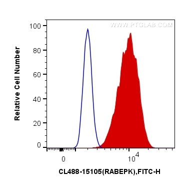 RABEPK/p40 Antibody in Flow Cytometry (Flow)