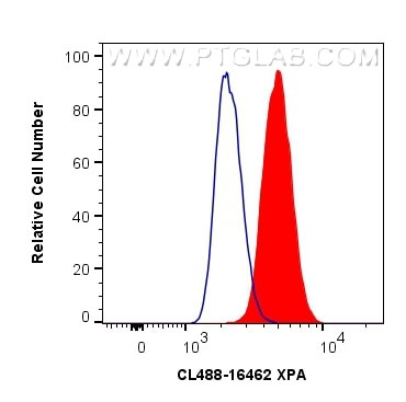 XPA Antibody in Flow Cytometry (Flow)