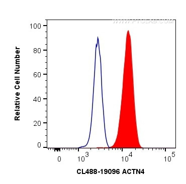 ACTN4 Antibody in Flow Cytometry (Flow)