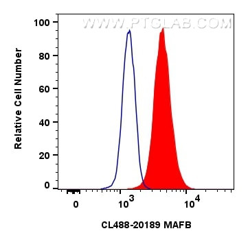 MAFB Antibody in Flow Cytometry (Flow)