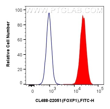 FOXP1 Antibody in Flow Cytometry (Flow)