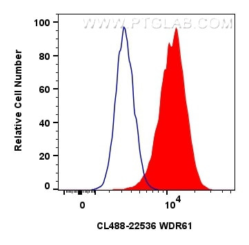 WDR61 Antibody in Flow Cytometry (Flow)