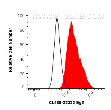 Eg5 Antibody in Flow Cytometry (Flow)