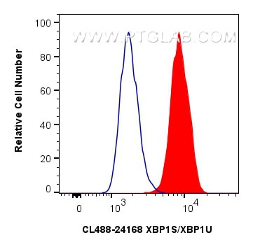 XBP1S/XBP1U Antibody in Flow Cytometry (Flow)