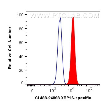 XBP1S Antibody in Flow Cytometry (Flow)