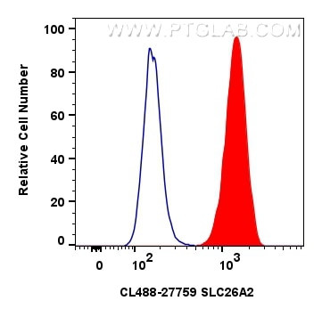 SLC26A2 Antibody in Flow Cytometry (Flow)