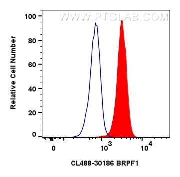BRPF1 Antibody in Flow Cytometry (Flow)