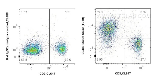 CD40 Antibody in Flow Cytometry (Flow)
