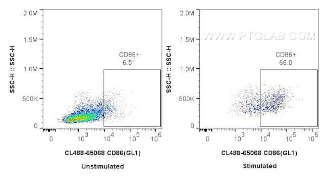 CD86 Antibody in Flow Cytometry (Flow)