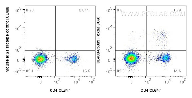Foxp3 Antibody in Flow Cytometry (Flow)
